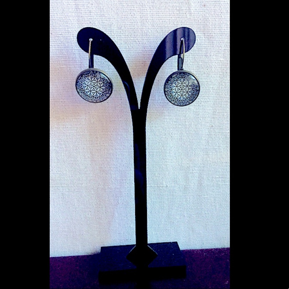 Elegant Blue Earrings!